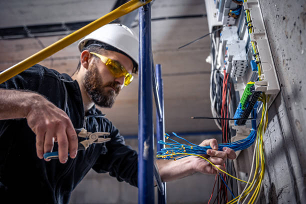 Best Licensed Electrician  in Egypt, AL