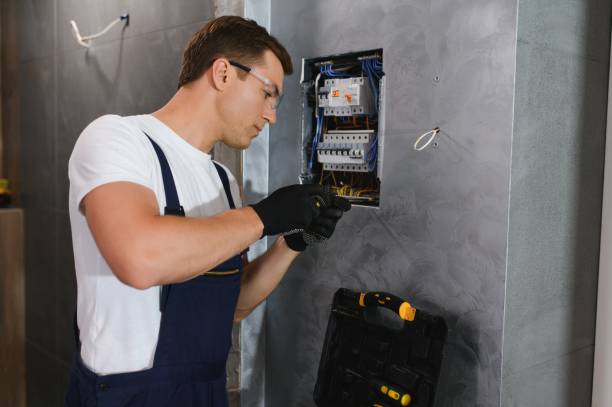Best Industrial Electrical Services  in Egypt, AL